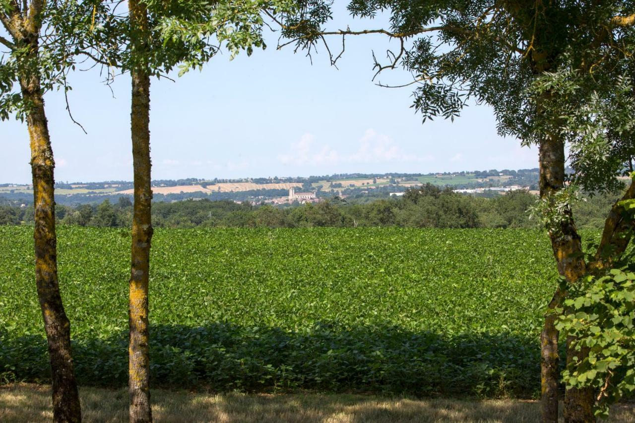Les Hauts De Condom Appartements Climatises Экстерьер фото